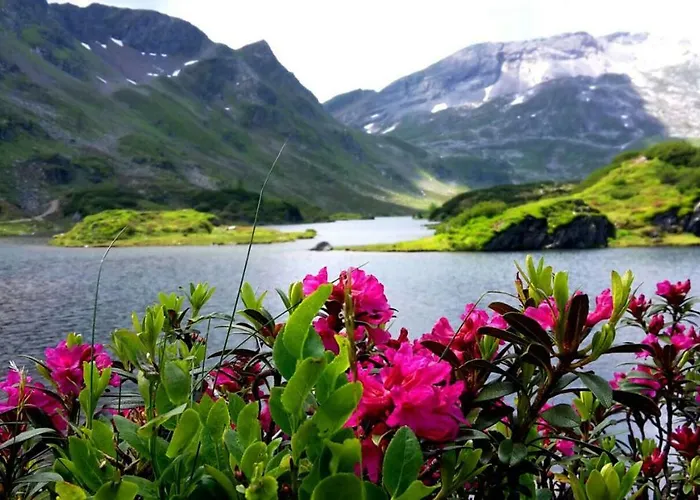 Habitación en casa particular Luca Schladming